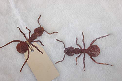 Badeko 2 kleine Ameisen aus Metall Edelrost, 8 x 6 cm, flach