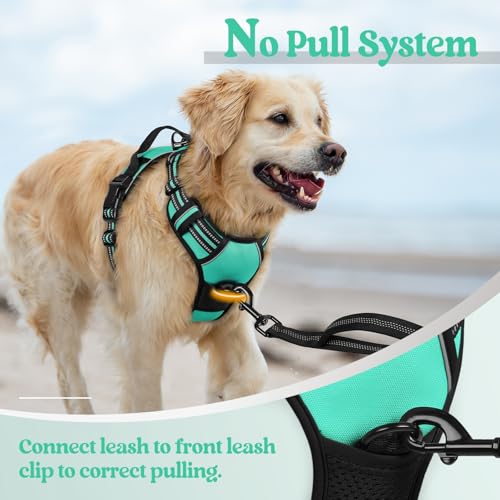 Image of rabbitgoo Dog Harness No Pull with 2 Leash Clips, Adjustable Soft Padded, Reflective Oxford No Choke Pet Vest with Easy Control Handle for Small Dogs, Turquoise, S