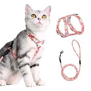 Cat Harness with Lead, Adjustable Harness Lead Set for Cat Kitten Small Pet Outdoor Walking with Quick Buckle, Floral Design