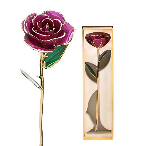 24K Gold Rose, Permanent Long-Stem Gold Dipped Rose Female Girlfriend Wife Spouse and Mother, Romantic Flower Christmas Anniversary and Valentine's Day