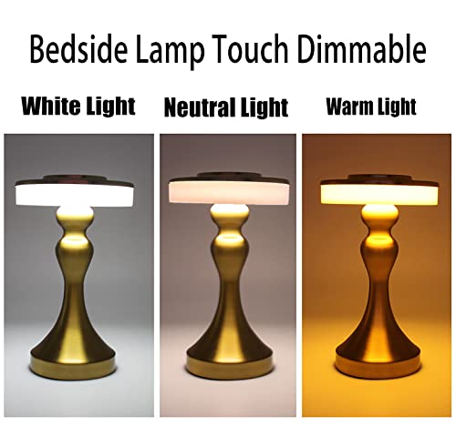 Boary Lampada da Tavolo Senza Fili, Portatile