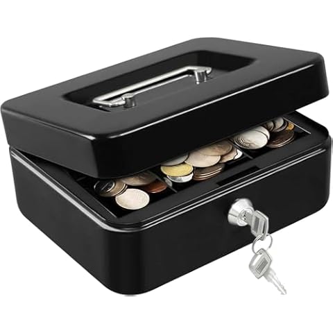 HOLOJOY Money Safe Lock Box with Removable Coin Tray,Durable & Scratch Resistant Money Box, Portable Lock Safe Box with Handle Cover