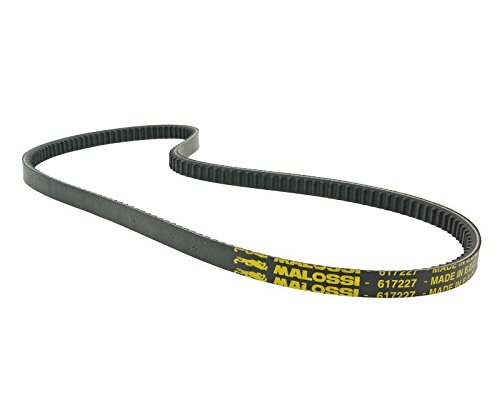 Cinghia trapezoidale Malossi Special Belt per Piaggio, Vespa Ciao, PX50 con Variomatik