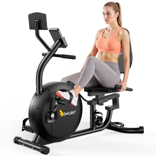 Image of OWLSKY Recumbent Exercise Bike for Home Gym, Magnetic Stationary Bike with 16-Level Resistance, Quiet 15LBS Flywheel, 300LBS Capacity, Low-Impact Cardio & Physical Therapy