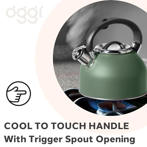 image for OGGI Tea Kettle for Stove Top - 64oz / 1.9lt, Stainless Steel with Lou