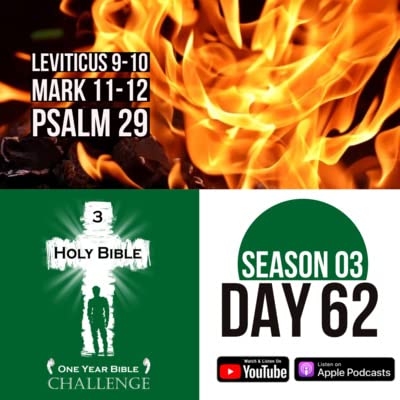 Day 62: God vaporizes Nadab and Abihu | Jesus teaches the Parable of the Farmer and his Son