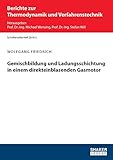  Gemischbildung und Ladungsschichtung in einem direkteinblasenden Gasmotor (Berichte zur Thermodynamik und Verfahrenstechnik)