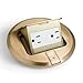 Lew Electric PUFP Round Recessed Floor Pop Up Outlet Box | Tamper Resistant with Two 15A Receptacles Made by an American Based Company - (Brass)