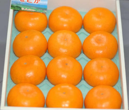 Amazon.co.jp: はちまるはち生鮮 贈答用 せとか 約2.7kg8～15個 化粧箱