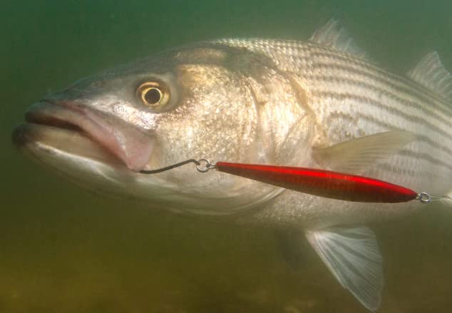 View 4