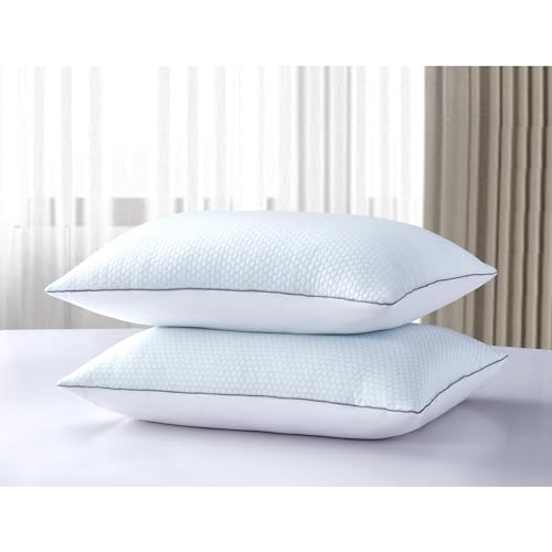 Set 2 Almohadas Plumas Ganso King 20x36
