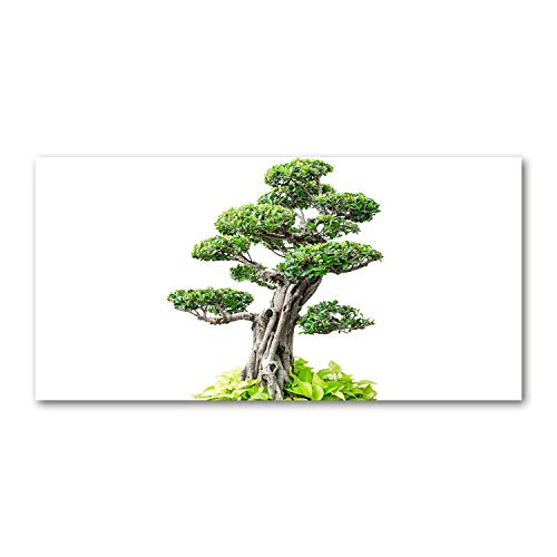 Crédence de cuisine en verre trempé 100x50 cm Tulup vert motif bonzaï