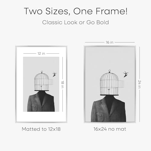 Image of Homeforia 16x24 Silver Picture Frames, High End Metal 16x24 Poster Frame with Mat 12x18 in Photo, 16 x 24 Silver Frame Matted to 12 by 18 Print, 24x16 Hanging Frame, Tempered Glass, Wall Kit, Set of 2
