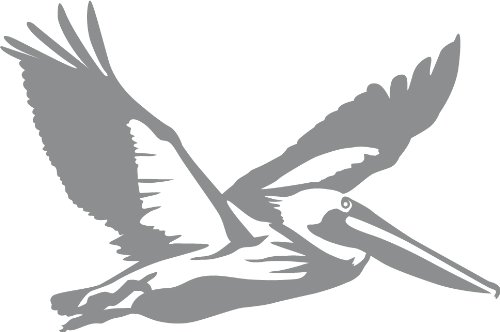 Express Yourself Flying Pelican Wall Decal (Med Grey - Facing as Shown - 3XL) - Bird Collection