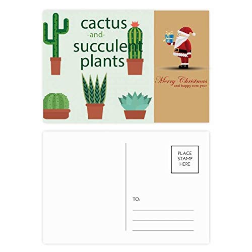 Cartes postales cactus et Noël lot de 20 de remerciement pour écrire vos vœux