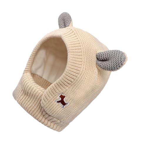 GARVALON pRXvXq fUC ybgpLbv ^Ή yʑϋvp[eB[ߑ BeaCxg