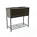 C-Hopetree Indoor Outdoor Raised Garden Planter Stand - Wicker Box