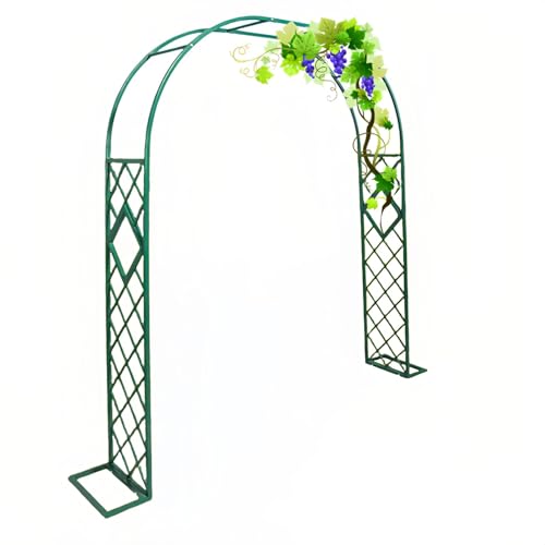 Arche de jardin en métal avec treillis pour plantes grimpantes et décors de mariages