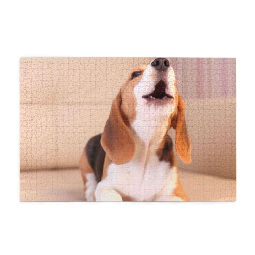 ؐs[X 1000s[X r[O WO\[pY lp eqpY qFBւ̃v[gɂł