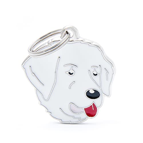 MyFamily Medaglietta per Cane Personalizzata, a