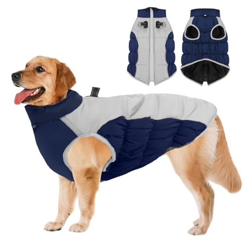 Manteau Chien Hiver Imperméables,Manteau Chien Réfléchissant Confortable Réglable avec Fermeture Eclair,pour Moyens Grands Chiens Temps Froid l'hiver Teckel,Bouledogue,Bleu Marine 2XL