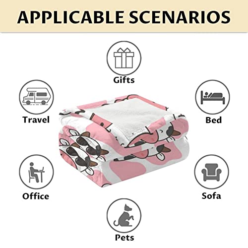 Cow Blanket Gifts - 30"x40" Cute Throw for Women, Girls - Pink Soft Fuzzy Blankets for Couch & Office