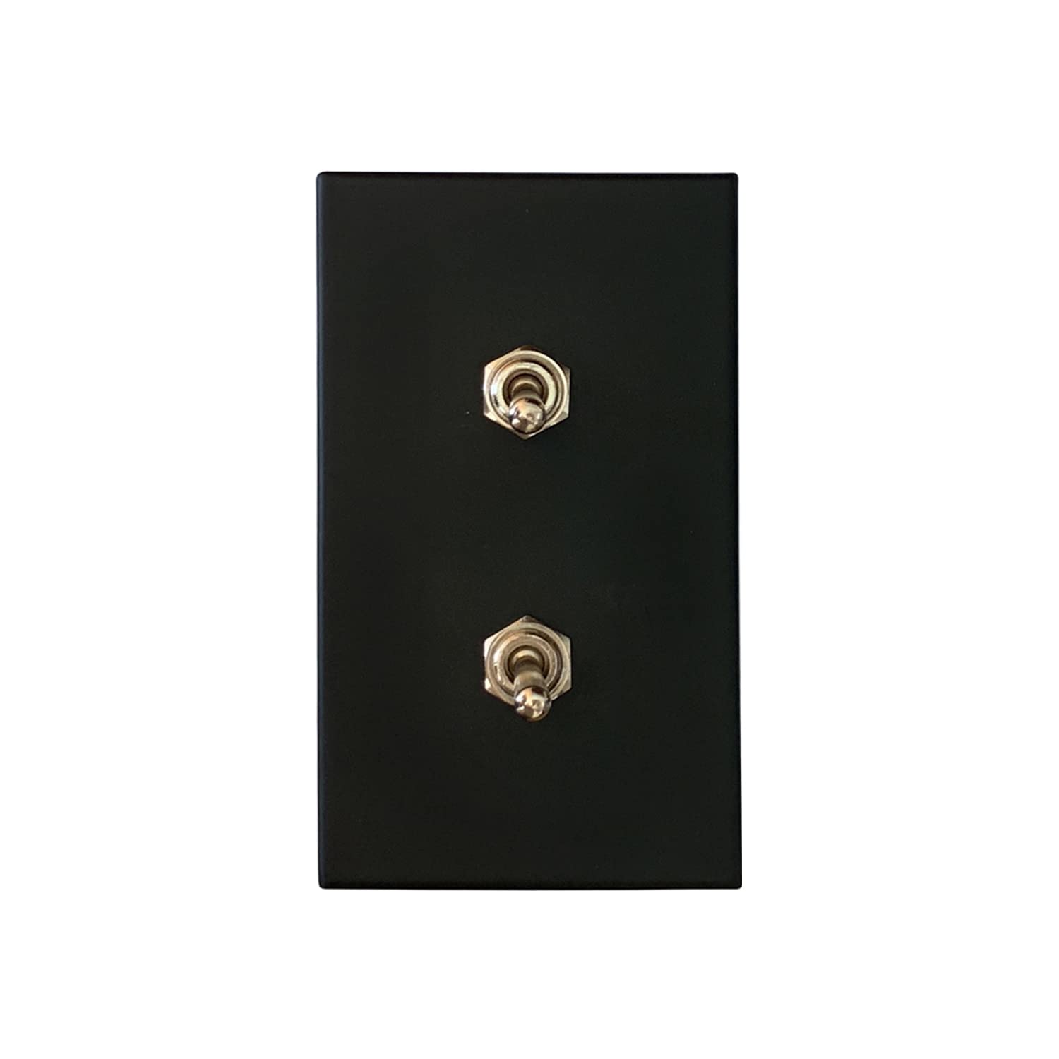 ARUASTUDIO Retro Interior Light Switch ON-Off Set, Switch Plate, Toggle Switch 15A, 250V, AC, 2Pin (Black 002 Silver)