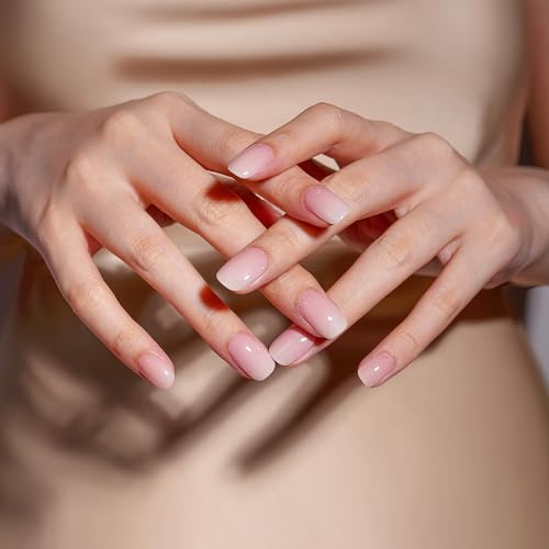 DANNI & TONI Semi Cured Gel Nail Strips French Ombre (in The Mood for Love) Pink White Gradient Nail Strips 28 Stickers Gift for Women