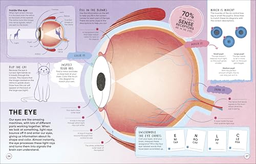 Brain Booster Human Body: Over 100 Mind-Boggling Activities that Make Learning Easy and Fun (DK Brain Booster) - Image 3