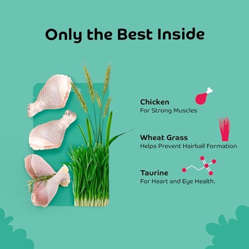 Image of Chicken with Wheat Grass Soft Cat Treats for Kittens & Adult Cats | Made with Real Chicken Meat | Grain-Free Protein-Rich Snacks with Taurine & No Fillers | 35g