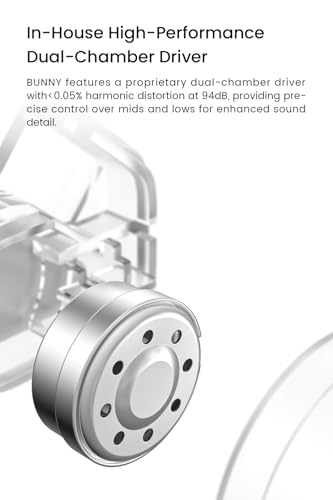Image of BUNNY Wired Gaming Earphones, Entry-Level HiFi IEM Earbuds with Mic-Type C | Bass Boot Maze Cavity, 1DD Dual-Chamber Driver, Built-in DSP, Lightweight, Audiophile in-Ear Earphone, APP Control