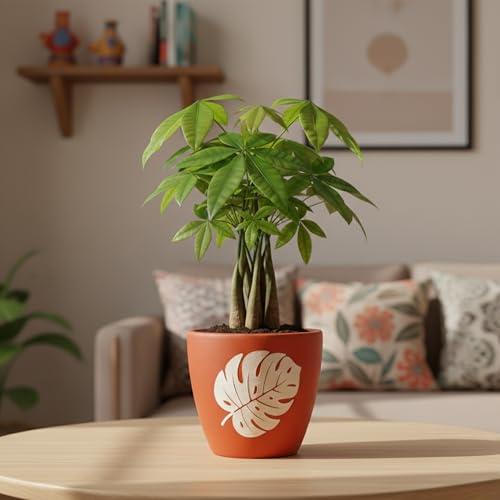 Image of Urban Plant Botanical Clay Canvas Terracotta Pot with Drainage Hole (5 Inch) | Decorative Indoor Plant Pot | Breathable Clay Planter for Healthy Roots | Ideal for Home Decor, Balcony & Office
