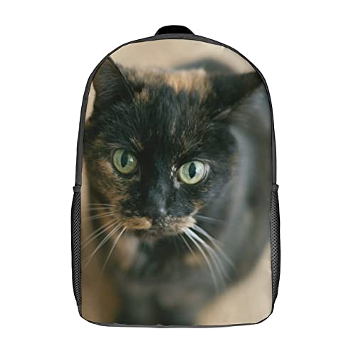 Sac d'école de mode chat anti-mal de dos léger et spacieux