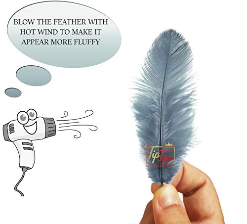 Image of TIPTOP DECORATION Natural Dyed Feathers 10 cm (80 pieces) (Grey)