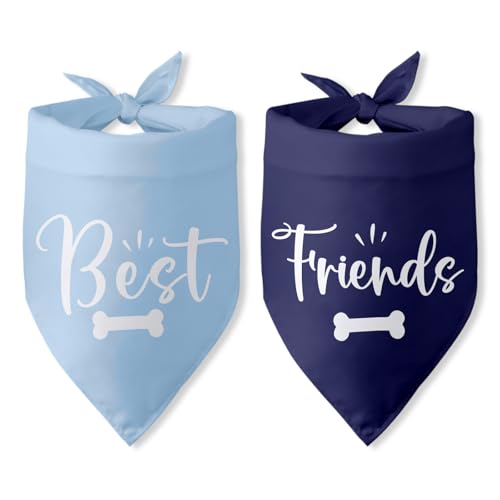 �x�X�g�t�����Y �� �o���_�i �F�� �M�t�g �y�b�g �� �O�p�` �X�J�[�t �� �j�̎q ���̎q �ʔ��� �a���� �f�R���[�V���� �ʐ^ ������ L�T�C�Y M ���^�� 2�p�b�N