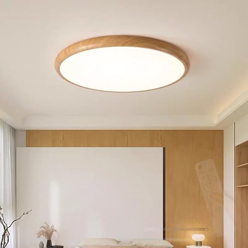 Lampe de plafond intérieur LED dimmable et plafonnier créatif
