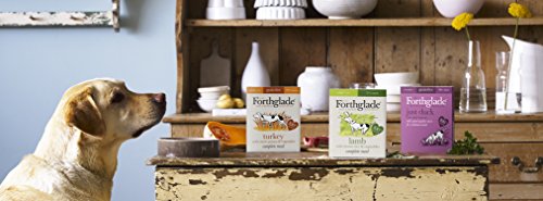 Forthglade Pasto Completo 100% Naturale, 395 g