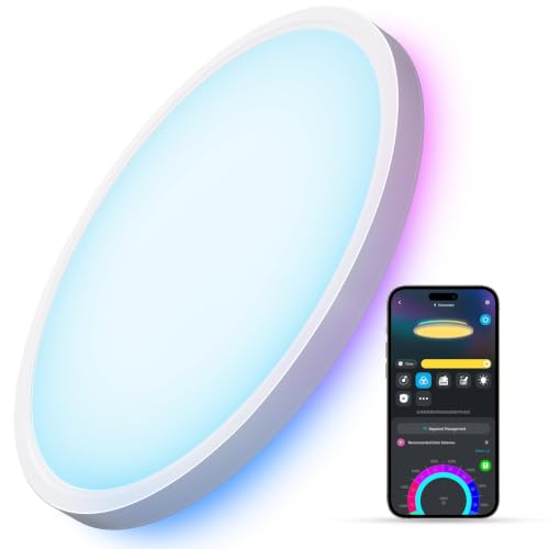Govee Smart Ceiling Light 12 Inch