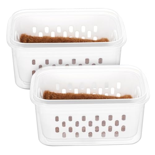 Toyvian 2pièces Lot de Pots De Pépinière Transparents pour Semis avec Drainage Conteneurs De Plantation pour Plantes