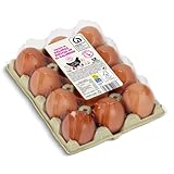 Huevos frescos de gallinas criadas en suelo categoría A clase L Dia bandeja 12 unidades