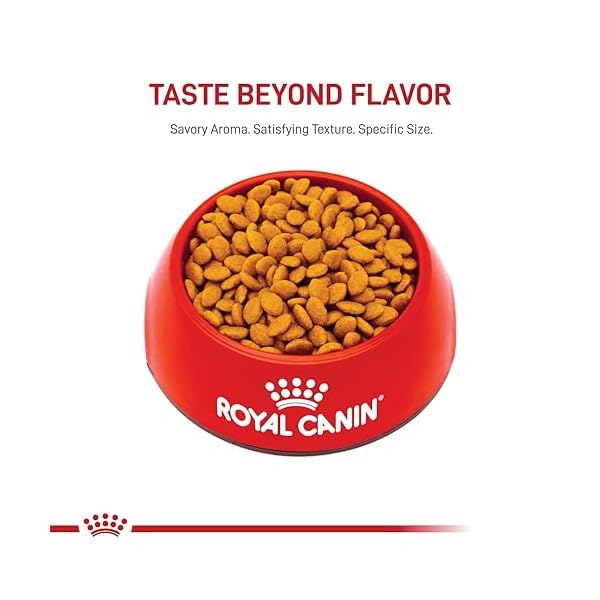 ROYAL CANIN BREED HEALTH NUTRITION Persian dry cat food, 7-Pound by Royal Canin – Bild 8