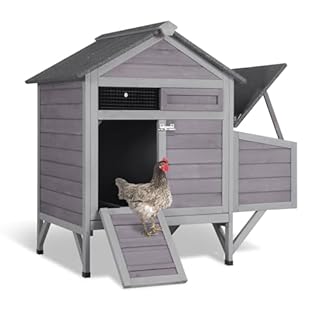 Aivituvin Chicken Coop with Nesting Box and Stand, Outdoor Elevated Hen House Wooden Poultry Coops with Weatherproof Asphalt Roof, Leakproof Pull-Out Tray for 2-3 Chickens, Ducks (Grey-S)