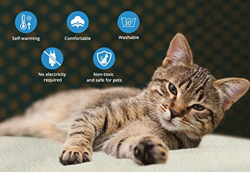 Nicrew Cat And Dog Self Heating Pad, Pet Self-Warming Convertible Cuddle Bed, Electric-Free Quilted Cat Heating Mat Indoor, Machine Washable Thermal Dog Blanket, White, Medium, 25" X 19" #TOP1