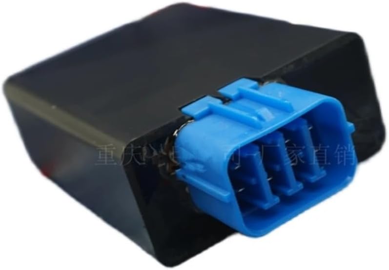 ③ 高さ約90㎝現品ご発送します。オオギバショウのドライフラワー