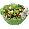 Amazon.com | UOIENRT Ceramic Bowl - Cute Cartoon Cabbage With Rabbit ...