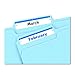 Avery File Folder Labels on 4