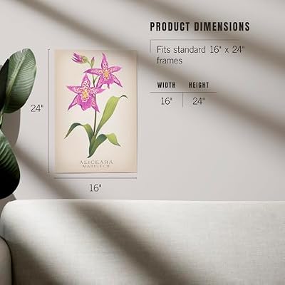 Lantern Press 16x24 Inch Giclee Print, Oncidium, Orchid, Vintage Flora