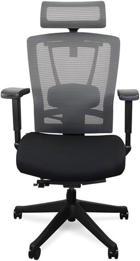 Autonomous ErgoChair - Premium Ergonomic Office Chair - All Black
