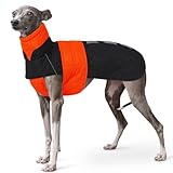 Manteau d'hiver Whippet, Vêtements d'hiver Whippet Veste Coupe Vent Chien Vêtements Polaire Chiot avec Col en Fourrure