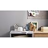 Google Nest WiFi Point #4
